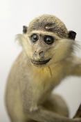 museo di zoologica bologna 8-2022 4616
